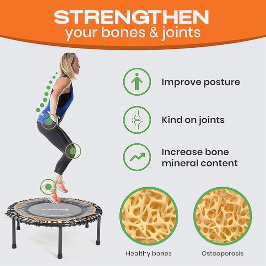 PRO Folding Rebounder Fitness Trampoline Hire